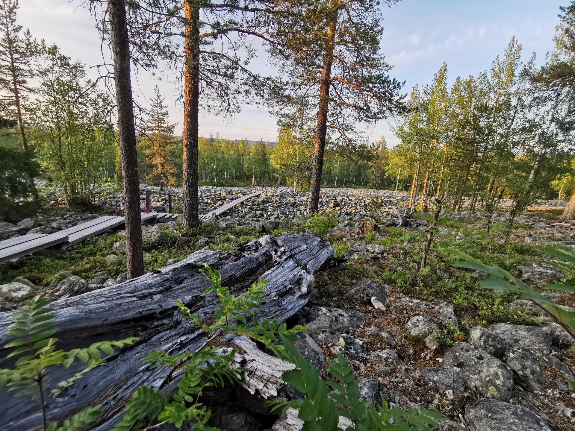 Katkavaara-naturetrail