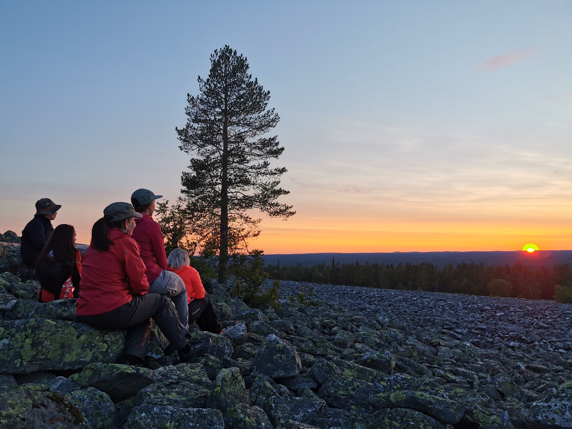 Katkavaara-midnight-sun-admire