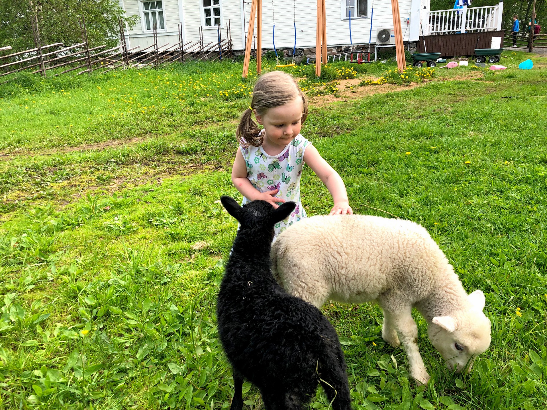 Arkadia-girl-with-sheep
